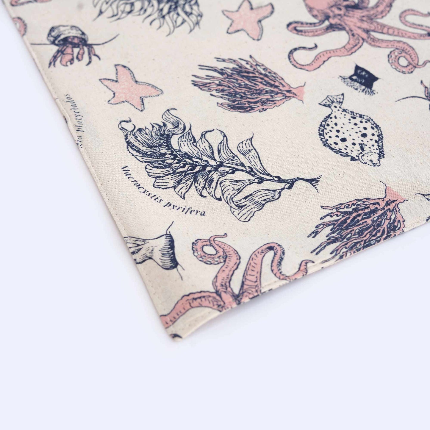 Set 8 Individual Género Fondo Marino4#Sin color