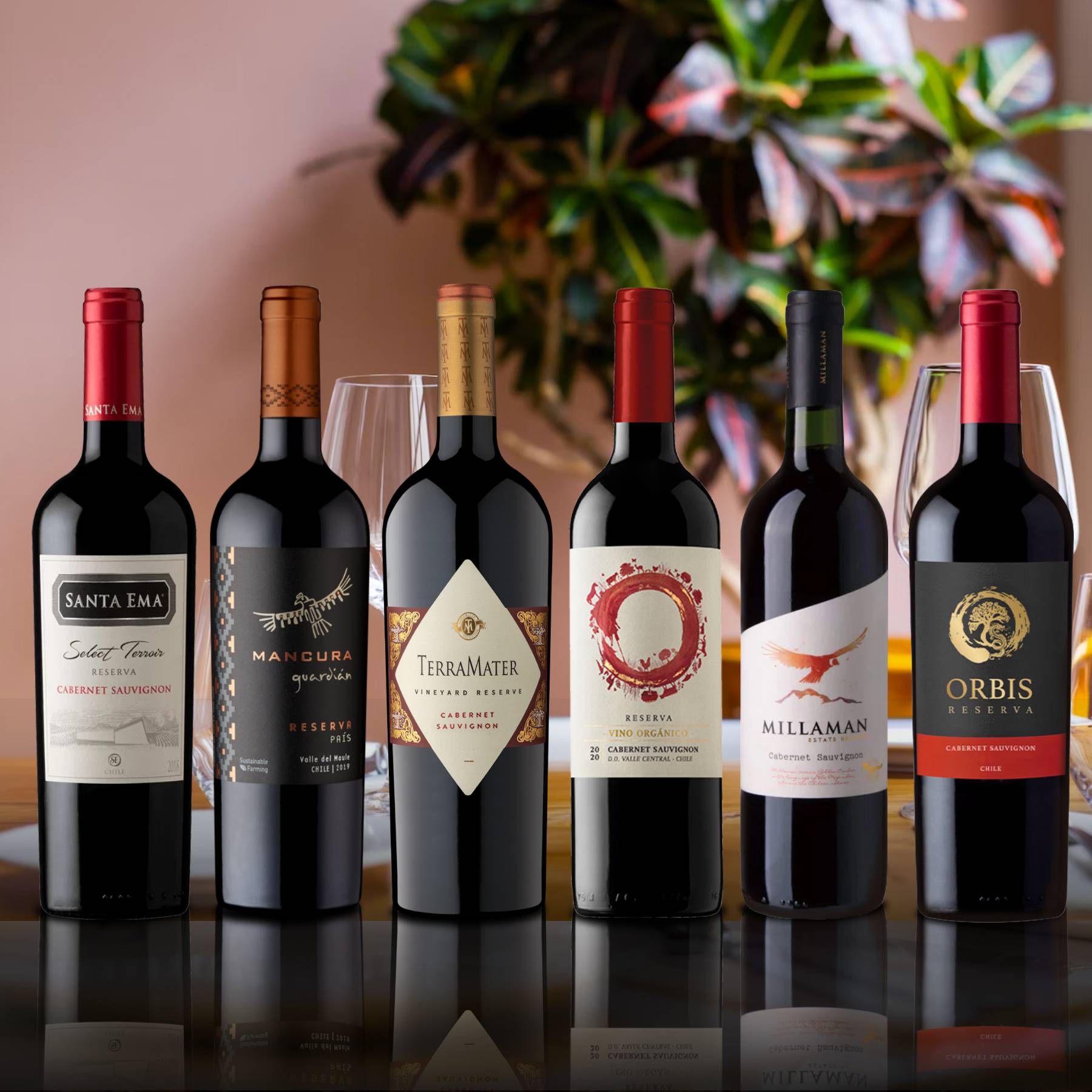 6 Vinos Mix Reserva Cabernet Sauvignon1#Sin Color