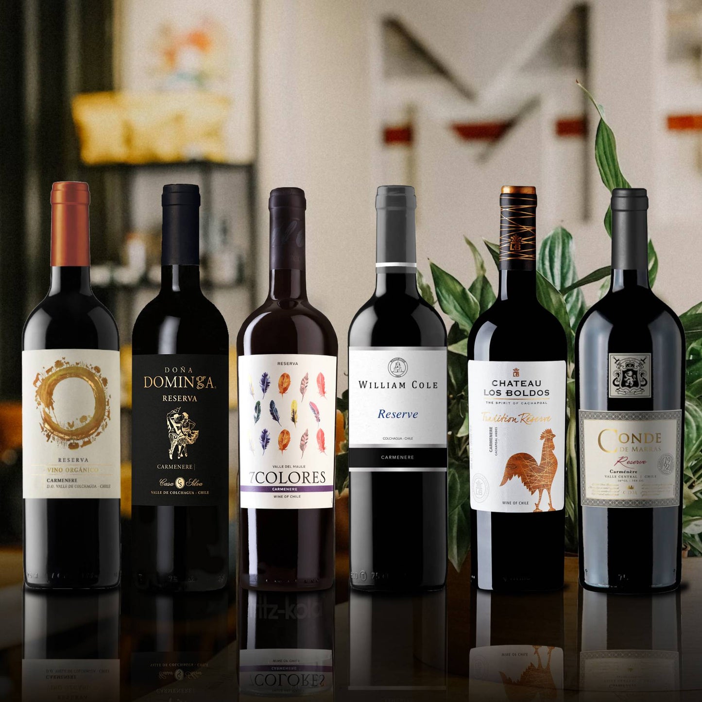 6 Vinos Mix Reserva Carmenere1#Sin Color