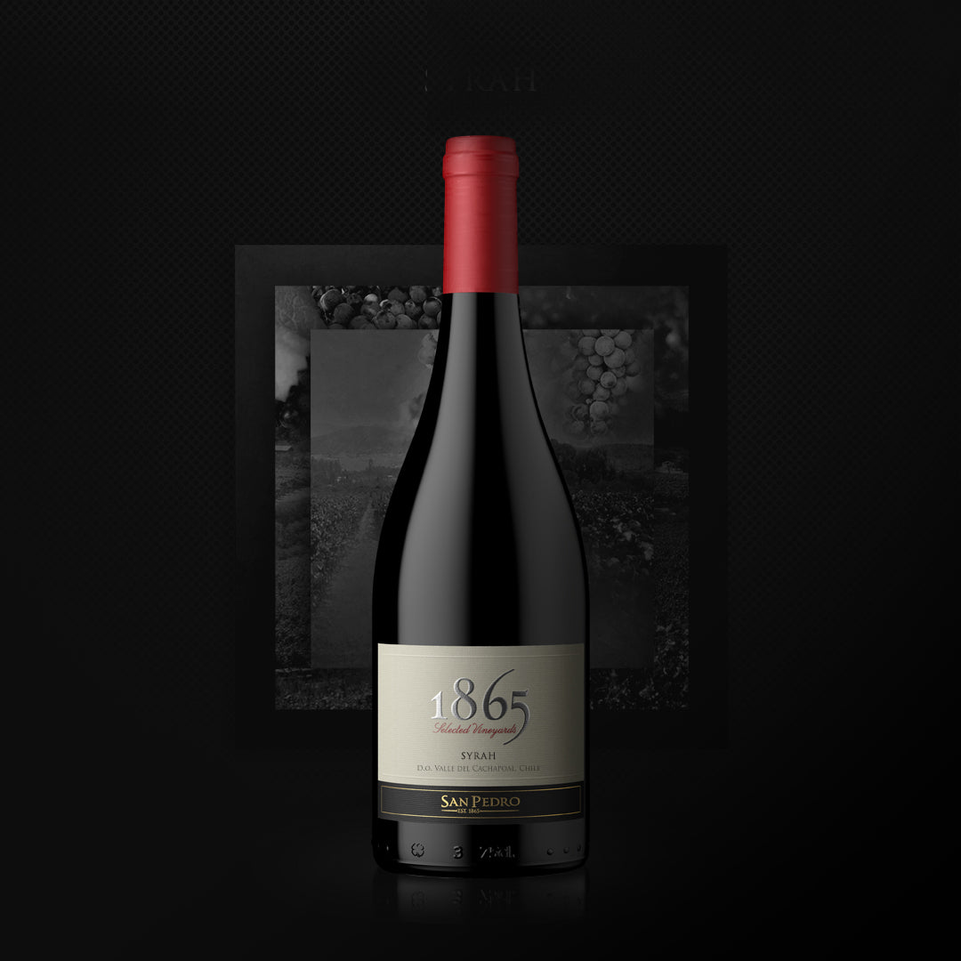 6 Vinos San Pedro 1865 Syrah1#Sin Color