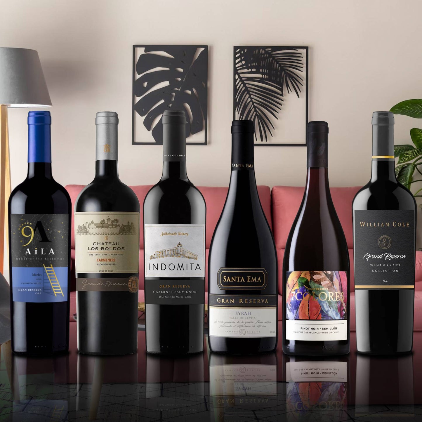 6 Vinos Top Gran Reserva Tintos1#Sin Color