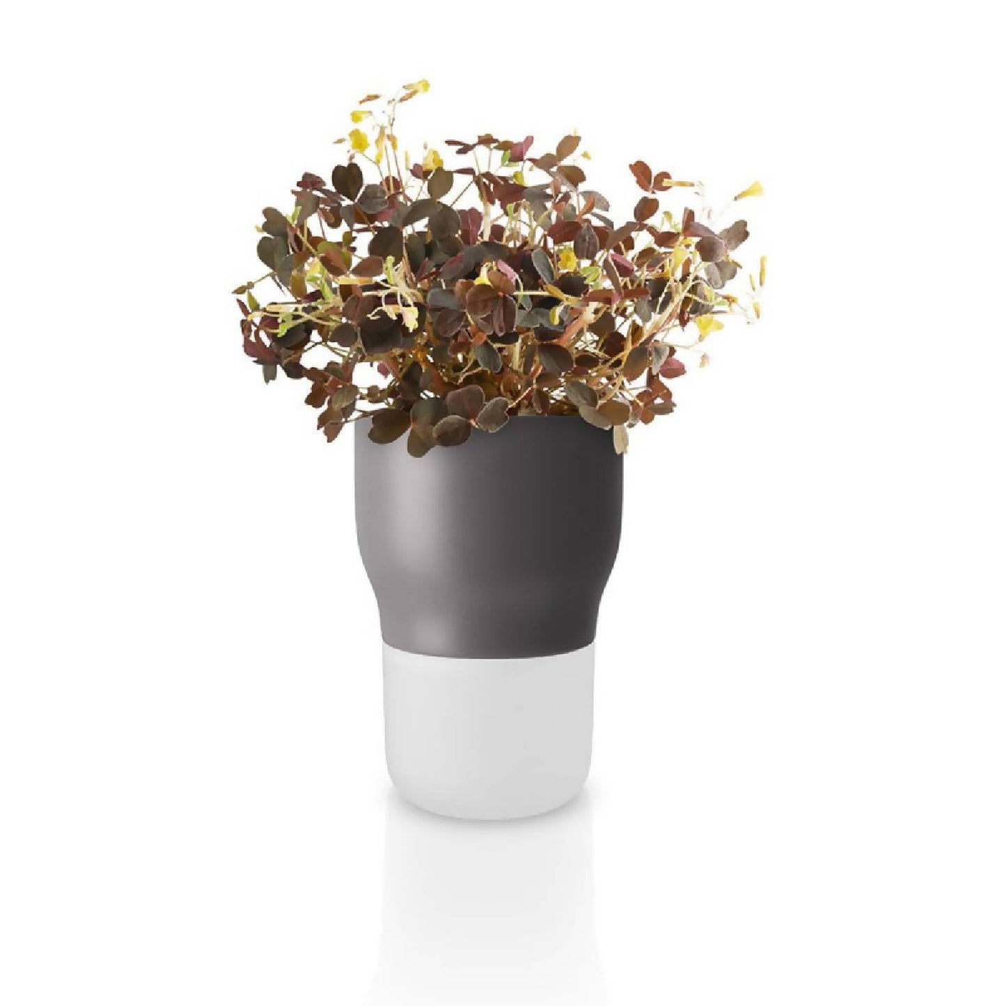 Macetero Auto Riego Pot Para Hierbas 9 cm