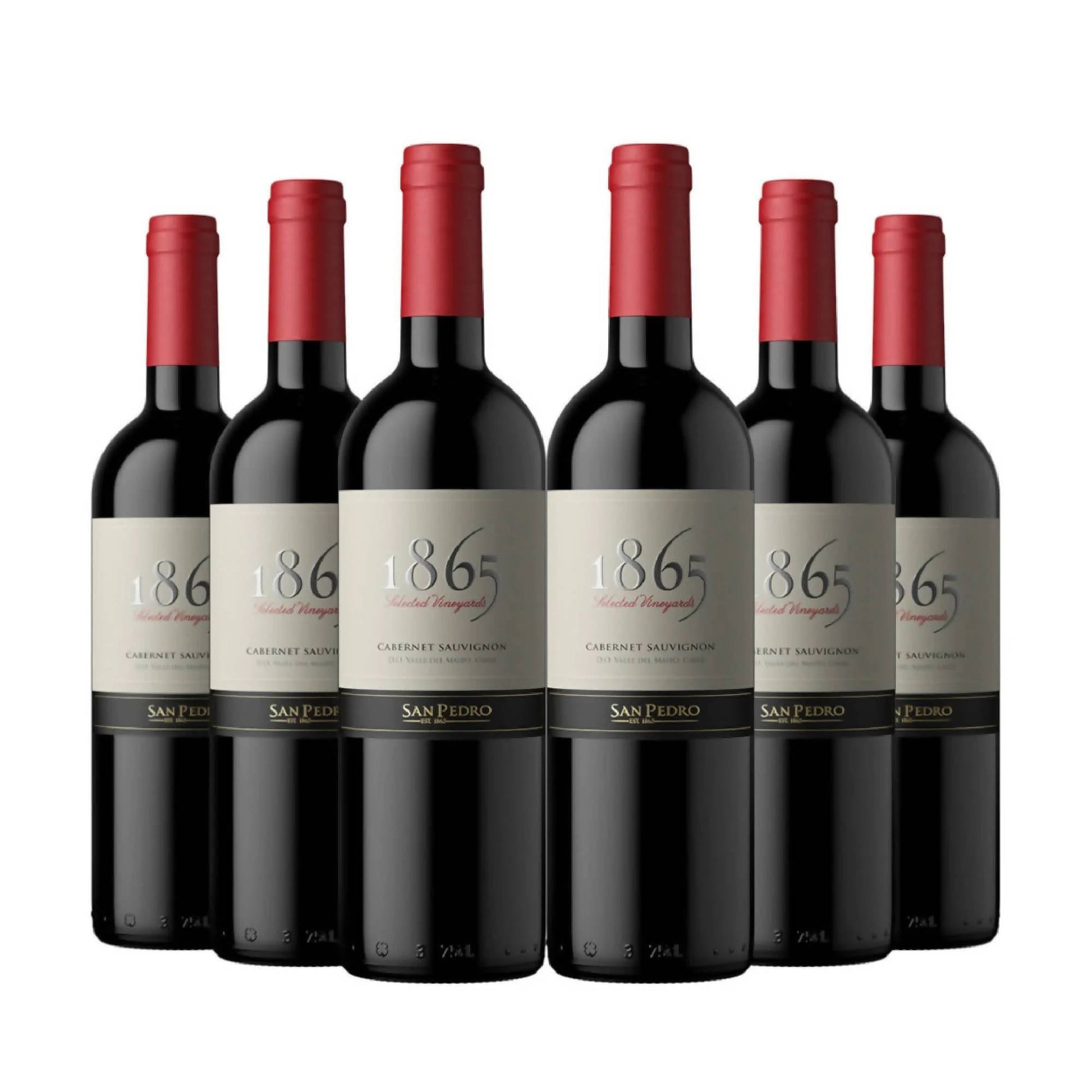 6 Vinos San Pedro 1865 Cabernet Sauvignon2#Sin color