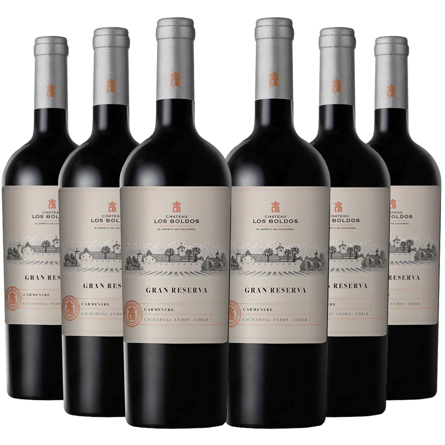 6 Vinos Los Boldos Gran Reserva Carmenere2#Sin color