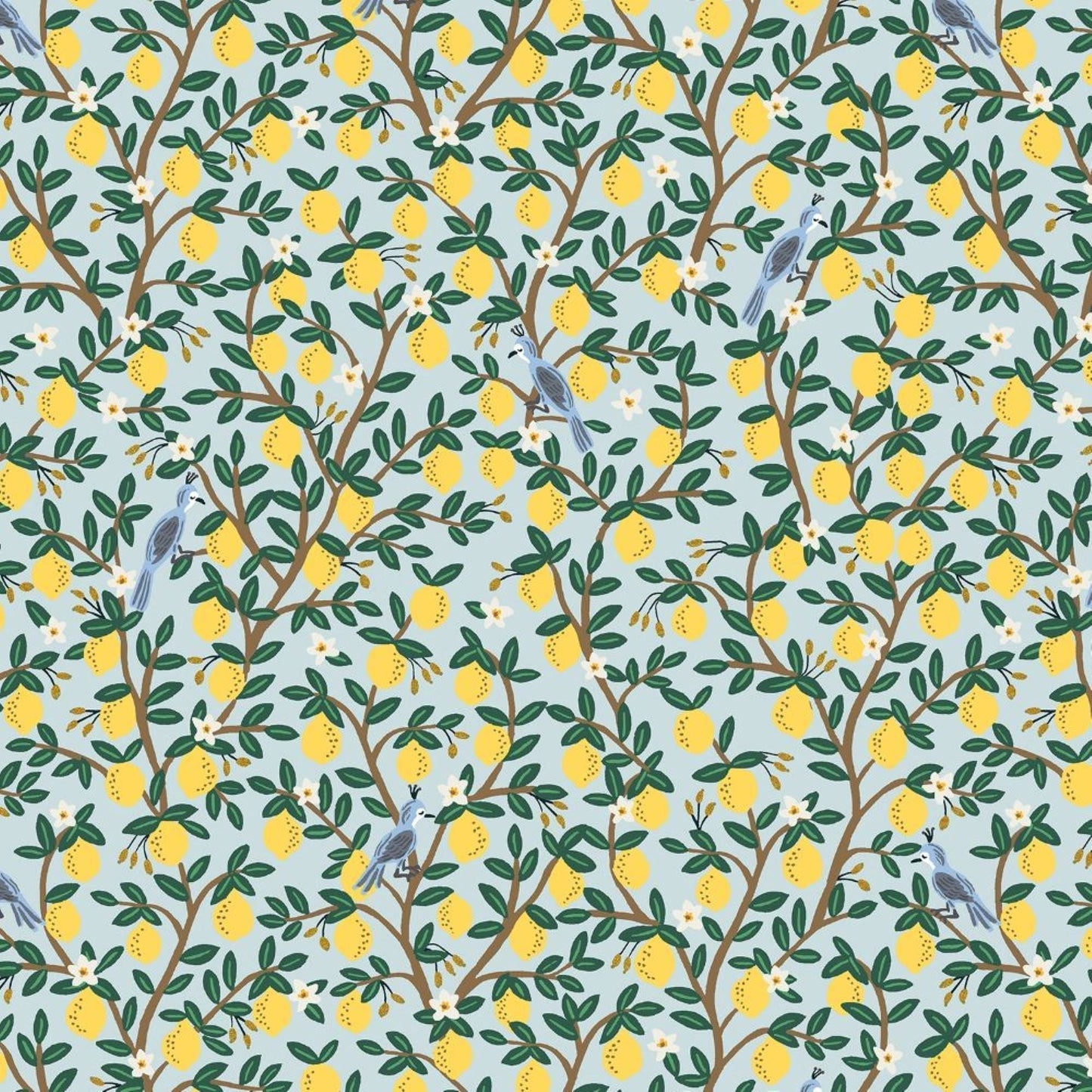 Menta