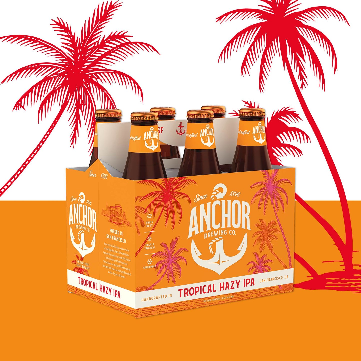 Cerveza Anchor Tropical Hazy IPA 355cc. x122#Sin color