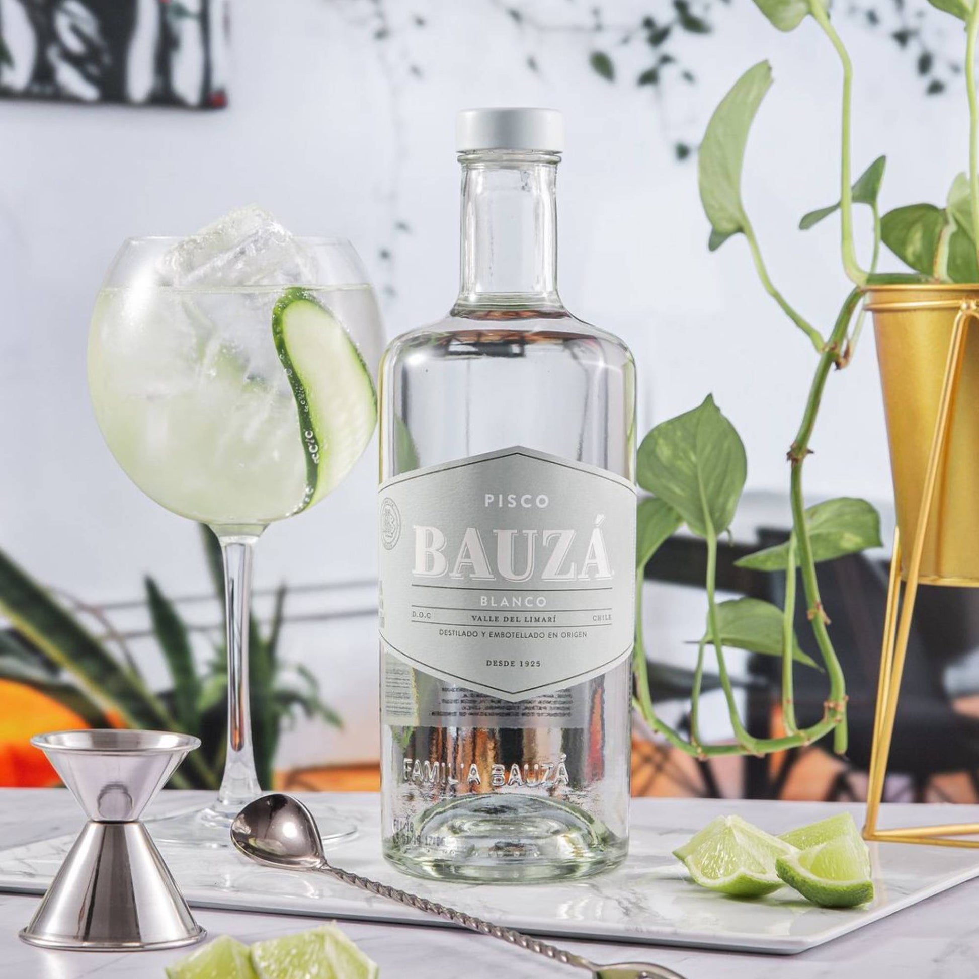 6 Piscos Bauza Transparente, (1000ml 40%)1#Sin color