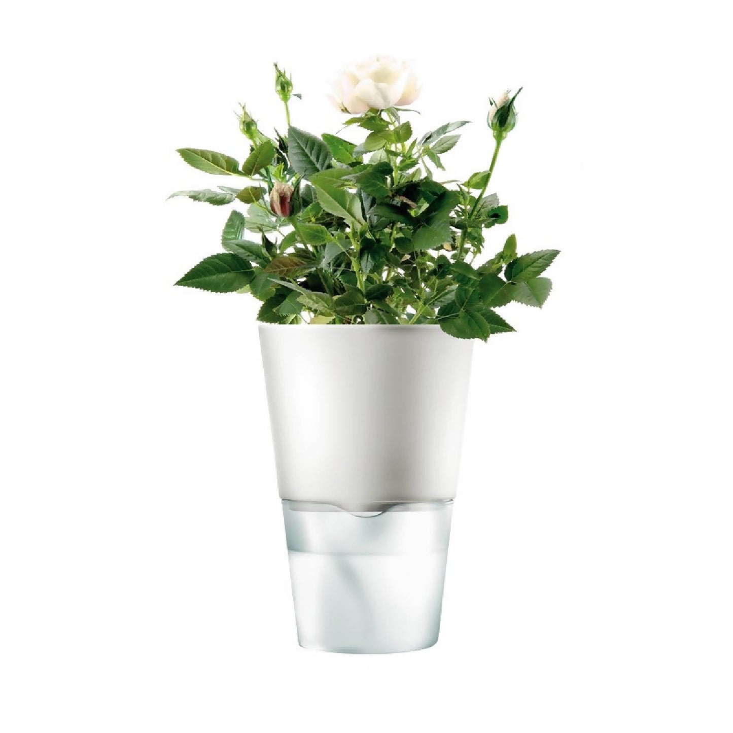 Macetero Auto Riego Para Hierbas 11 cm