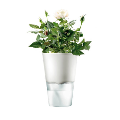 Macetero Auto Riego Para Hierbas 11 cm