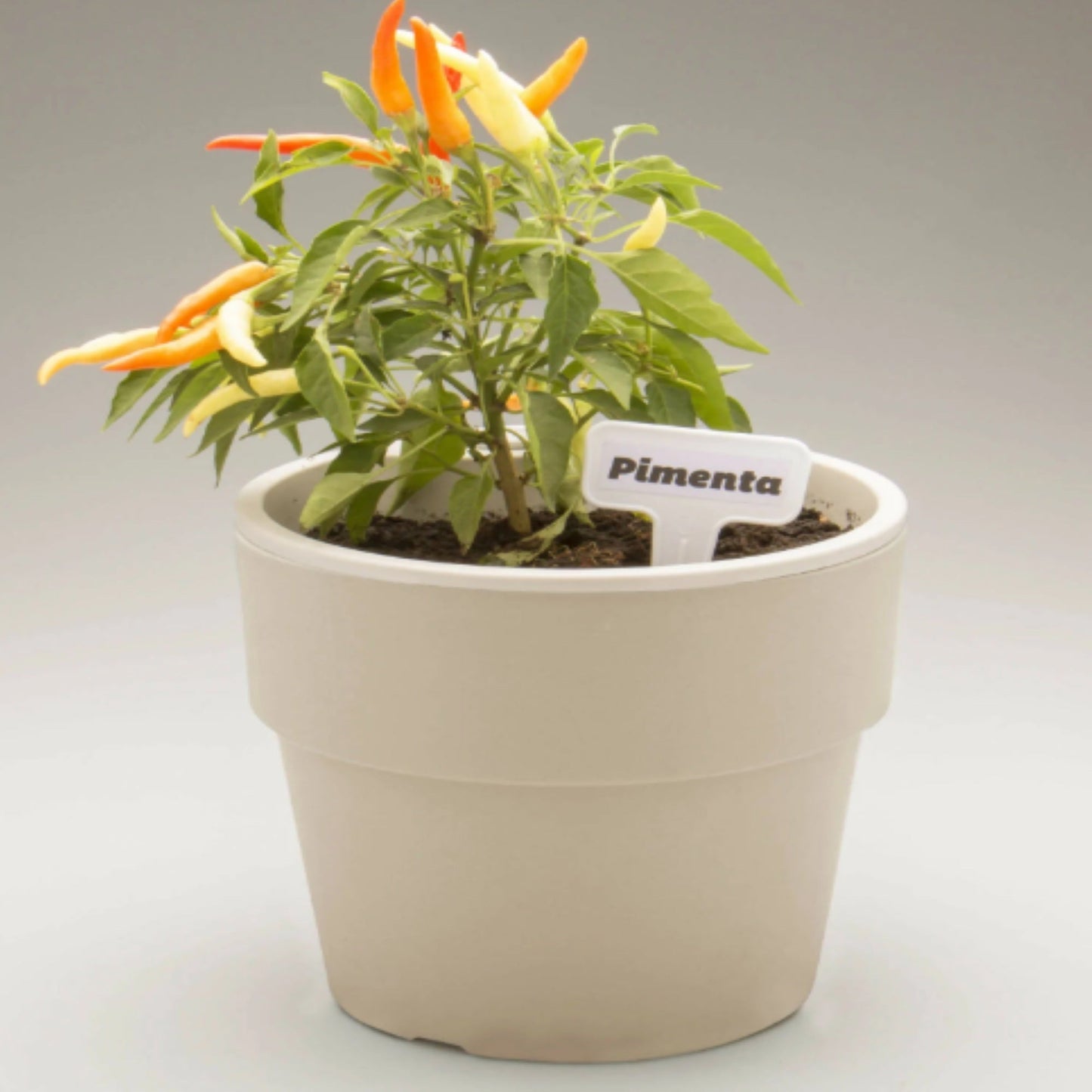 Pack 2 Maceteros Auto Riego Para Hierbas 1.6 Lts2#Beige