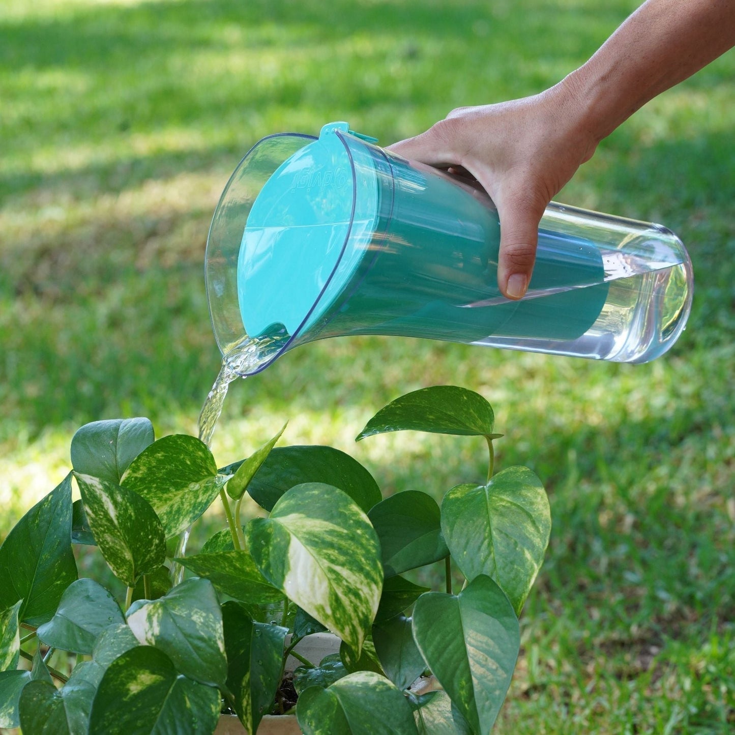 Jarro Filtro Purificador Agua Sense1#Verde