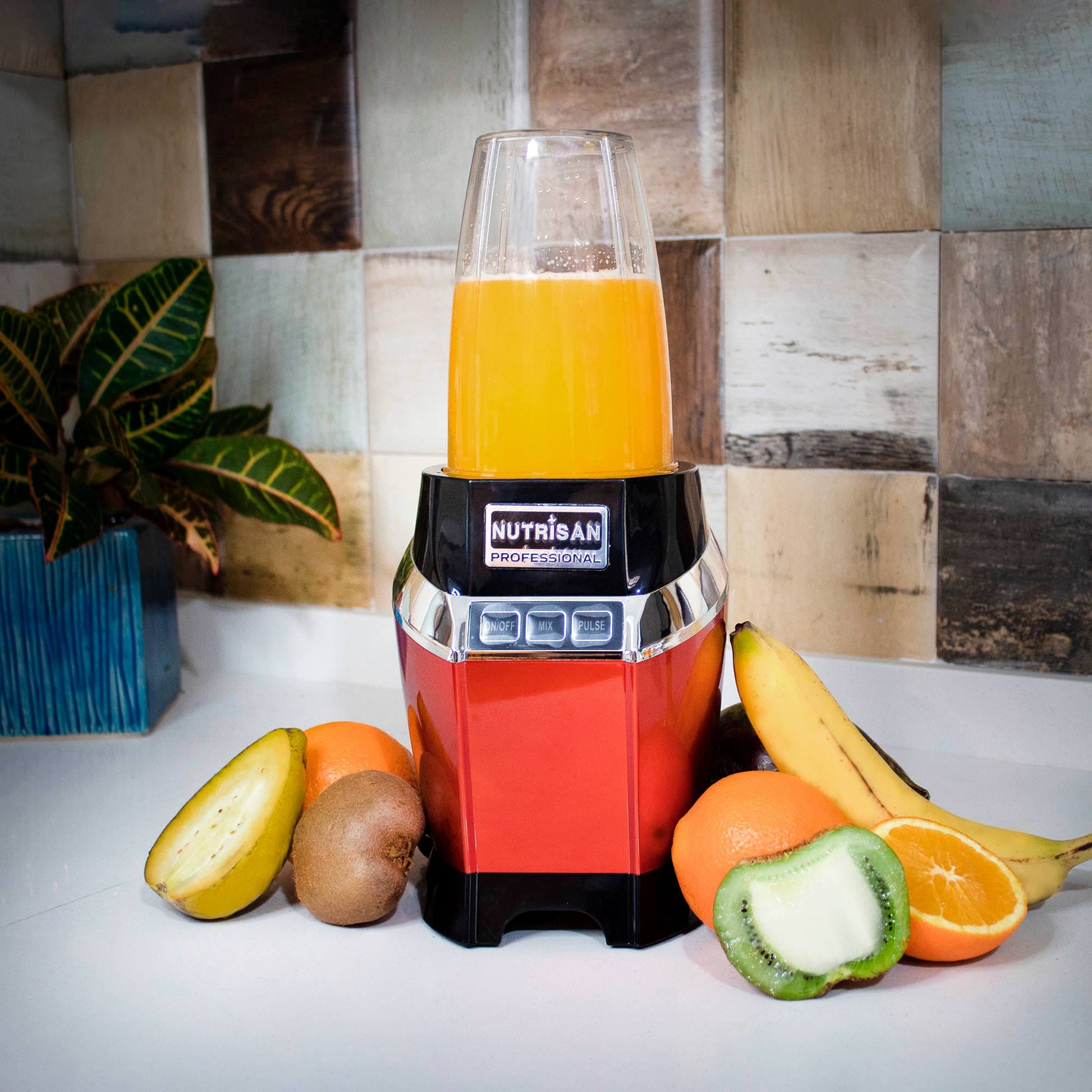 Procesador de Alimentos 1000 W3#Rojo