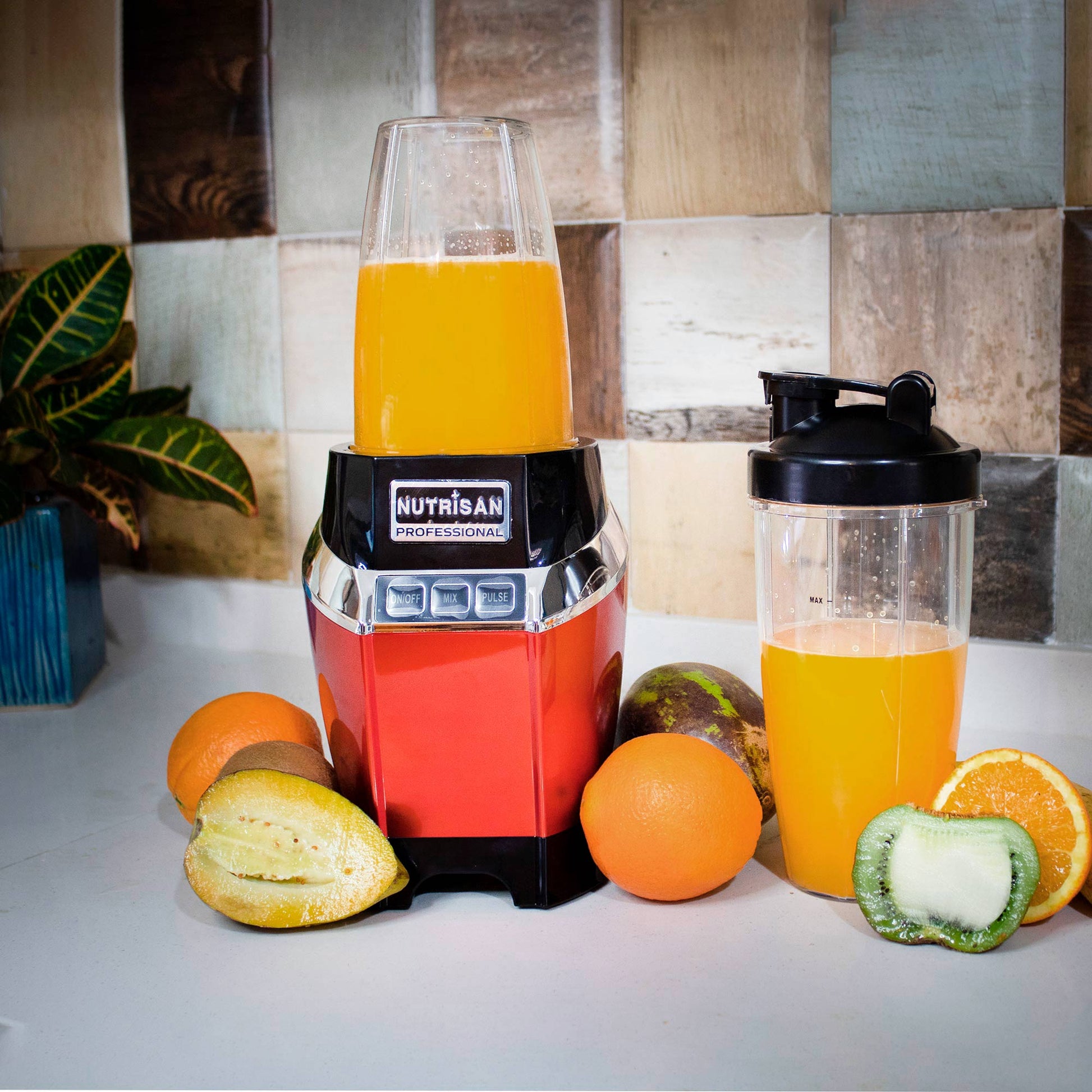 Procesador de Alimentos 1000 W1#Rojo