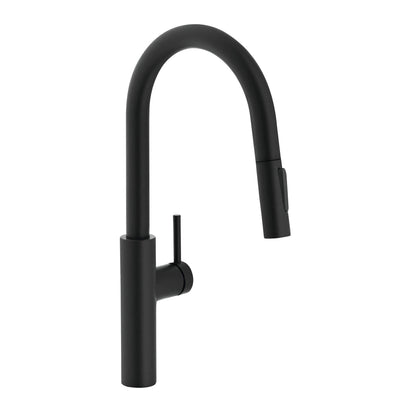 Grifería Pescara L Spray Pull1#Negro