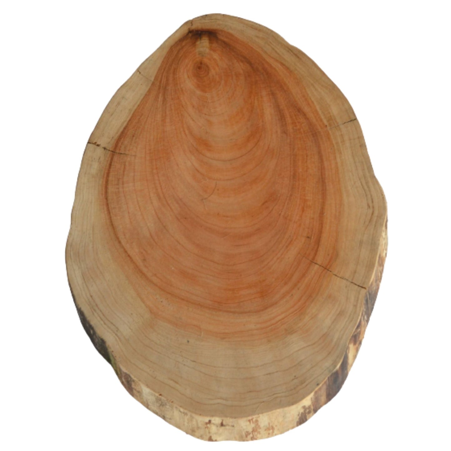 Tabla de Madera Ciprés Chica2#Café