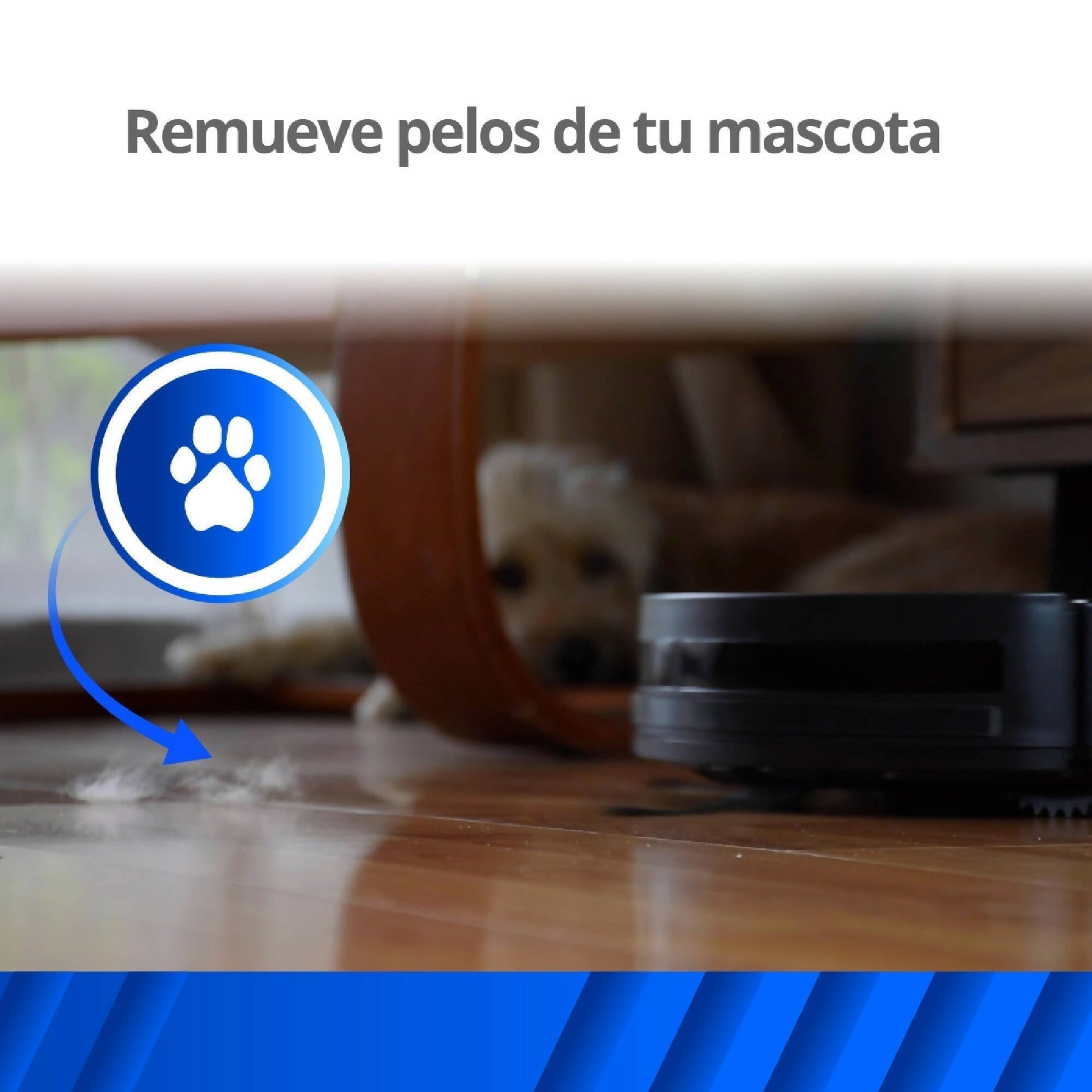 Aspiradora Robot Thorben Digi Bot Wifi4#Negro