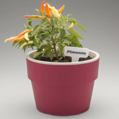 Pack 2 Maceteros Auto Riego Para Hierbas 1.6 Lts1#Burdeo