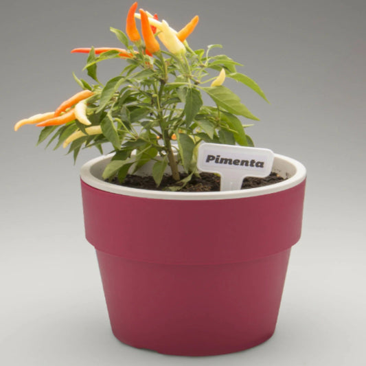 Pack 2 Maceteros Auto Riego Para Hierbas 1.6 Lts1#Burdeo