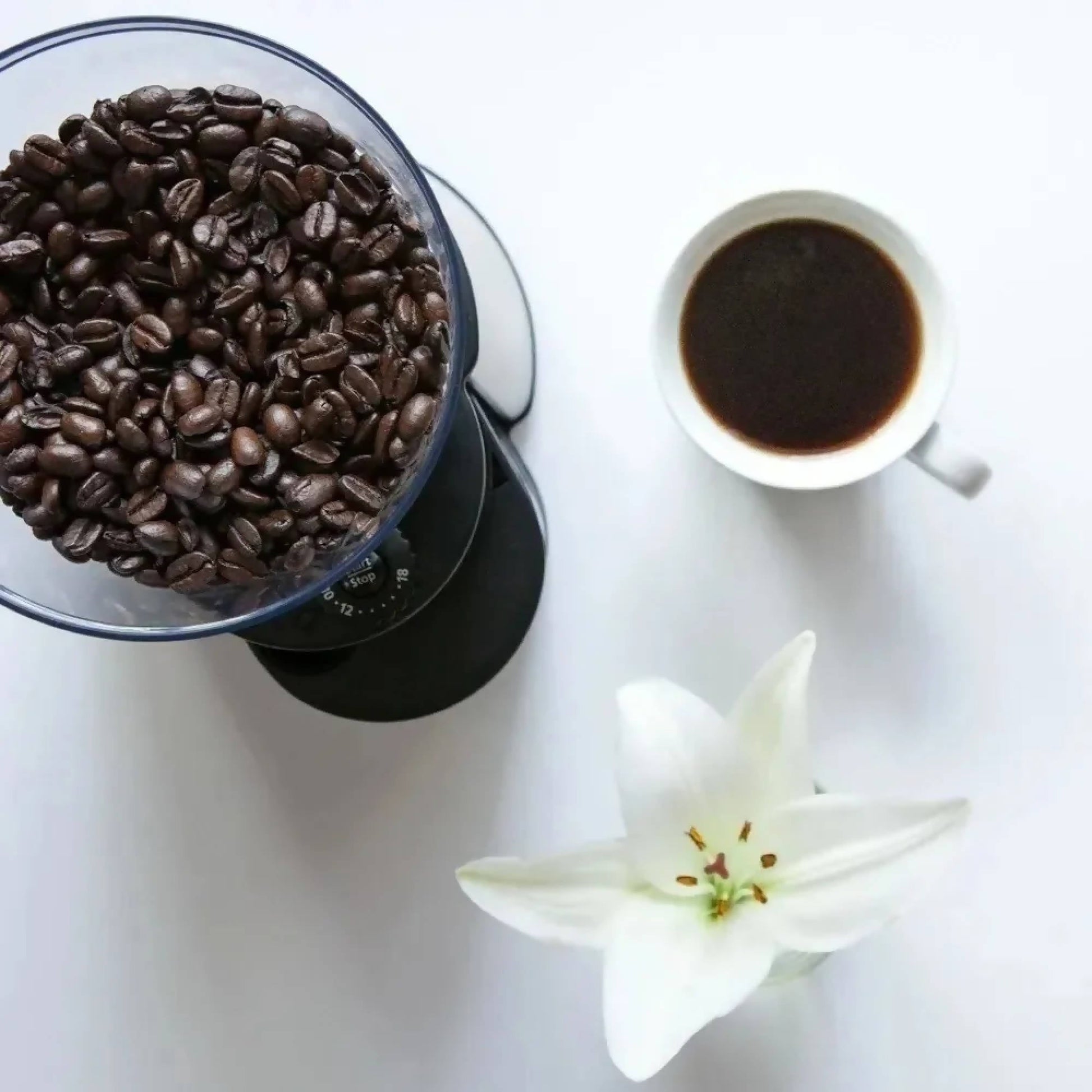 Molinillo Cafe 18 Ajustes4#Gris