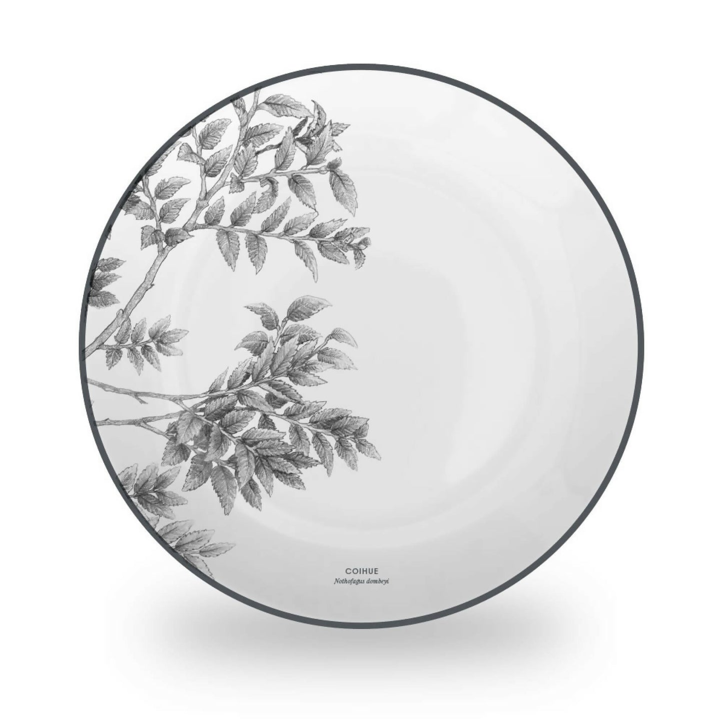 Juego 24 Piezas Porcelana Coihue by Garuga4#Blanco