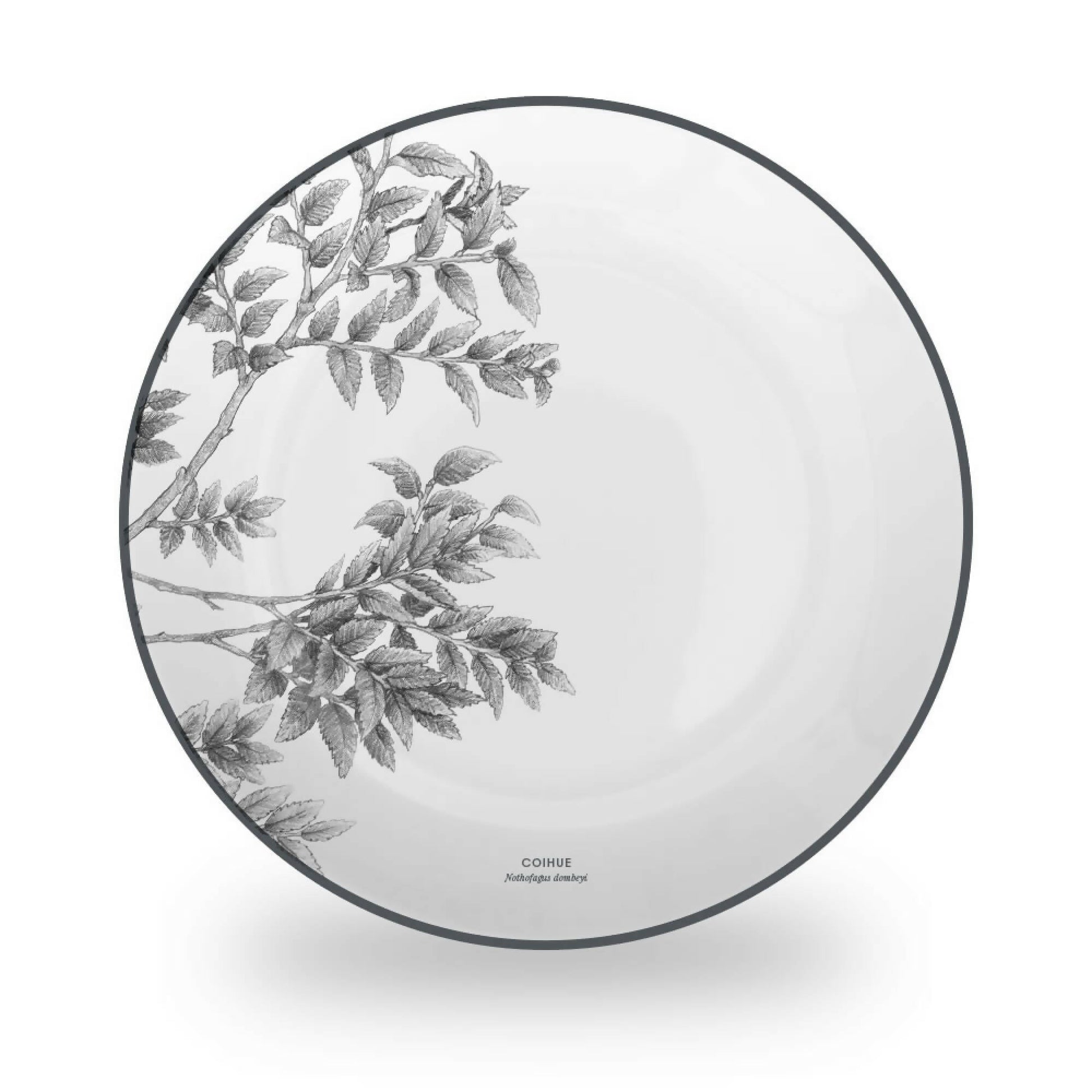 Juego 24 Piezas Porcelana Coihue by Garuga4#Blanco