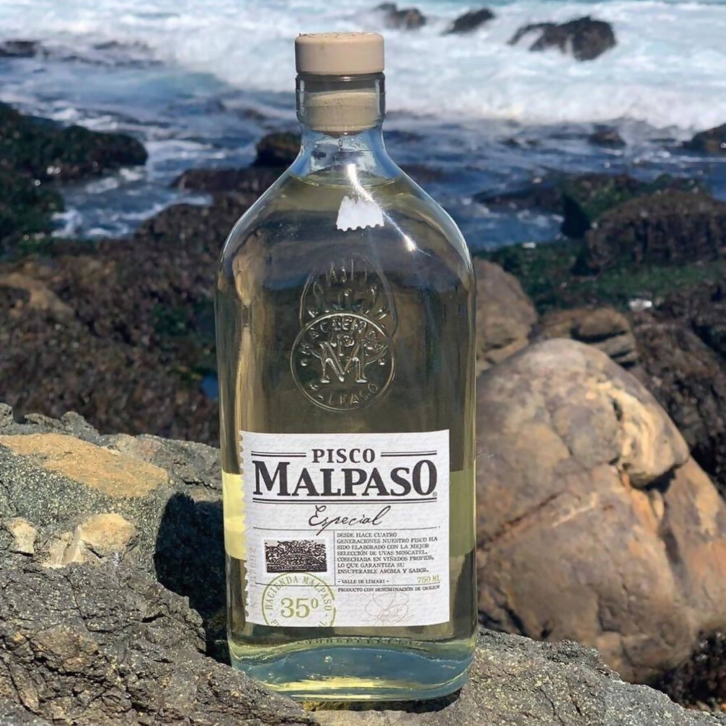 12 Pisco Malpaso 35 Grados 750 ml