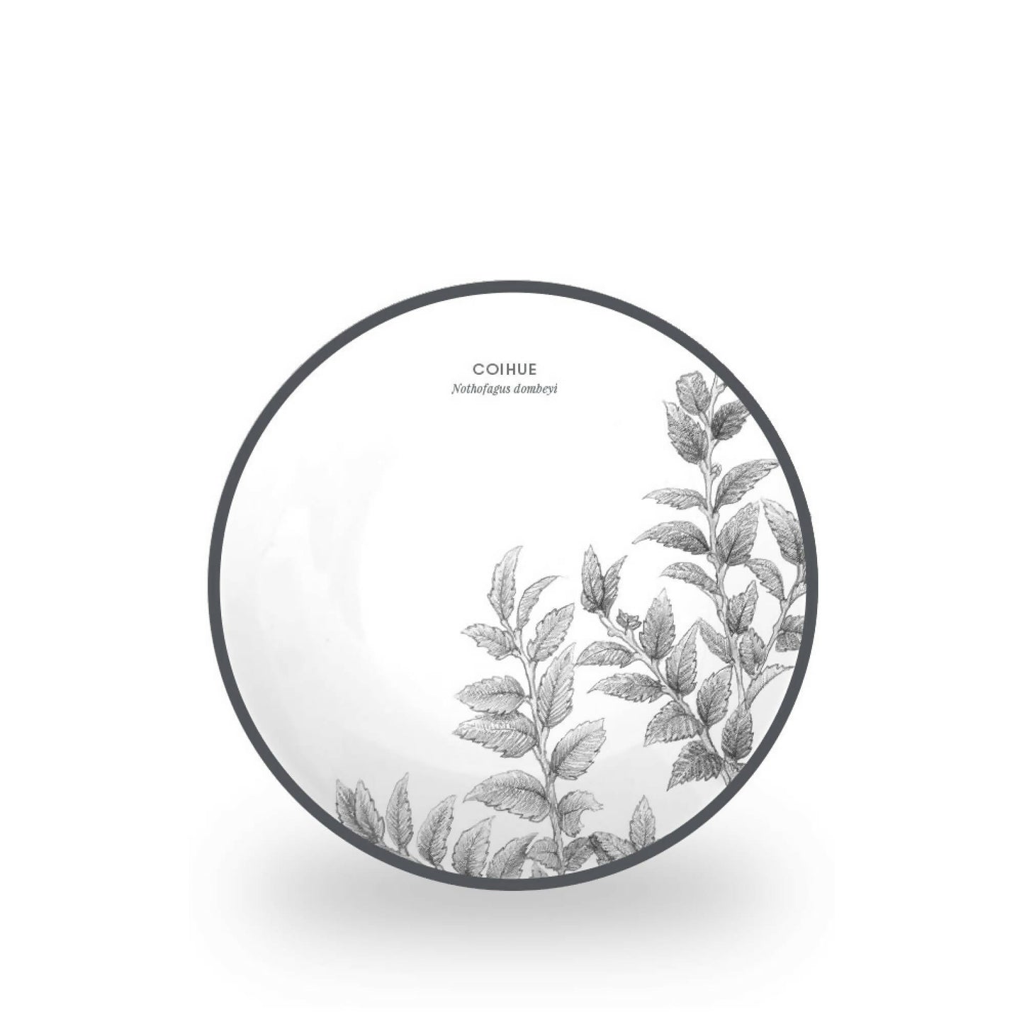 Juego 24 Piezas Porcelana Coihue by Garuga3#Blanco