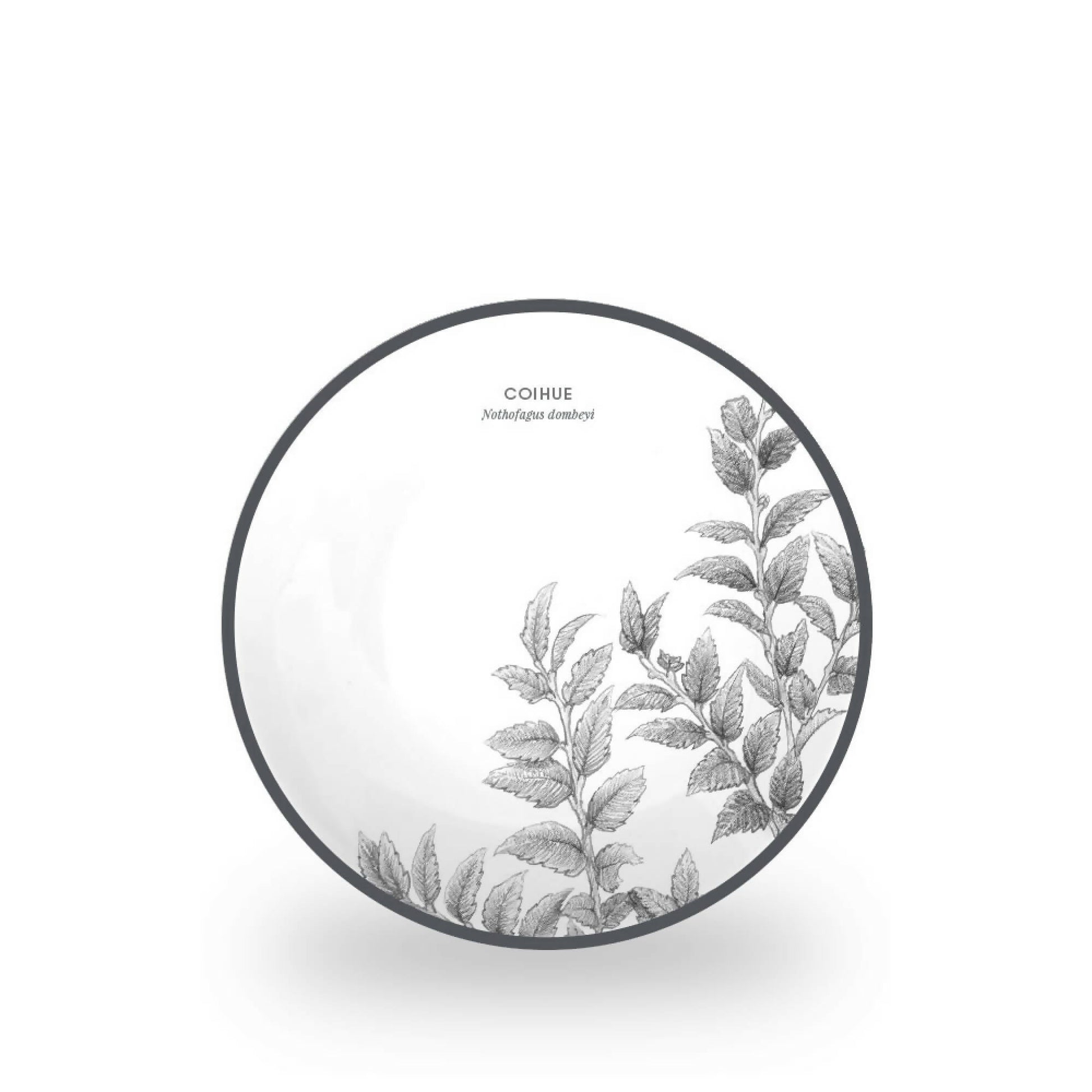 Juego 24 Piezas Porcelana Coihue by Garuga3#Blanco