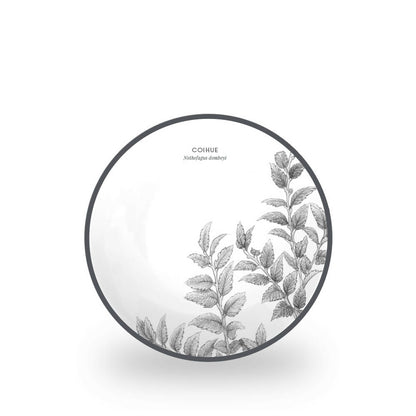 Juego 24 Piezas Porcelana Coihue by Garuga3#Blanco