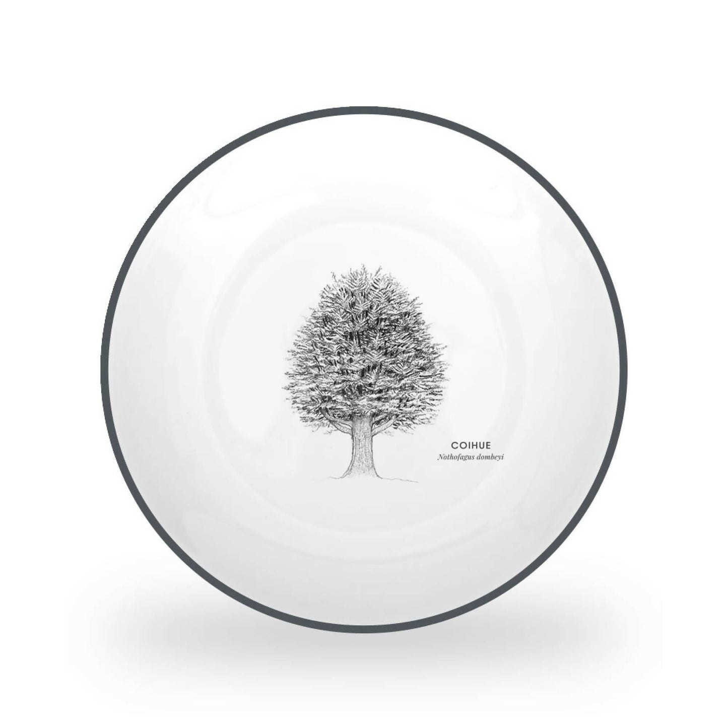 Juego 24 Piezas Porcelana Coihue by Garuga5#Blanco