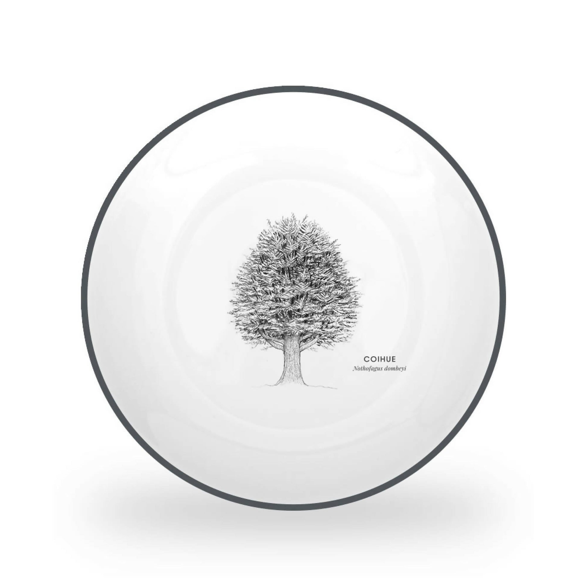 Juego 24 Piezas Porcelana Coihue by Garuga5#Blanco