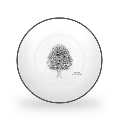 Juego 24 Piezas Porcelana Coihue by Garuga5#Blanco