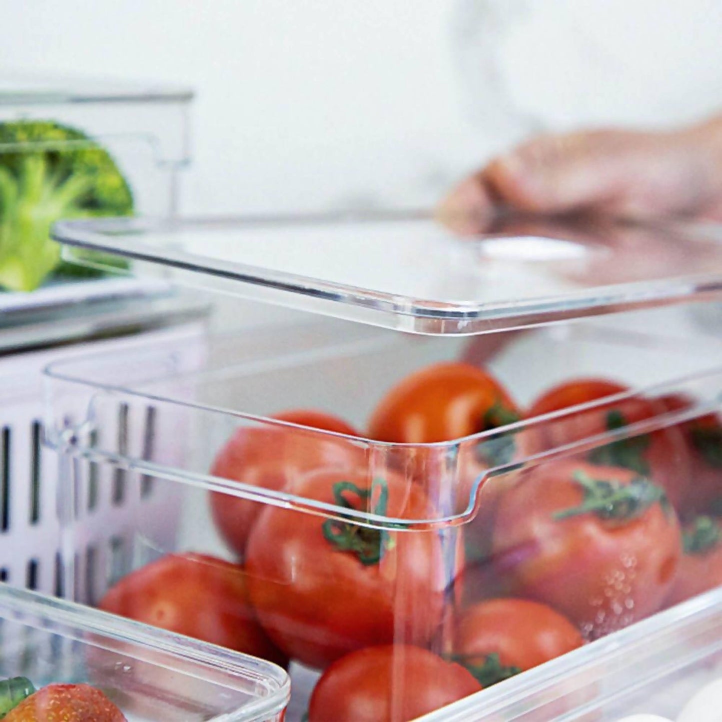 Organizador de Refrigerador Clear Fresh 5 Lt 30 x 15 x13 Cm3#Sin color