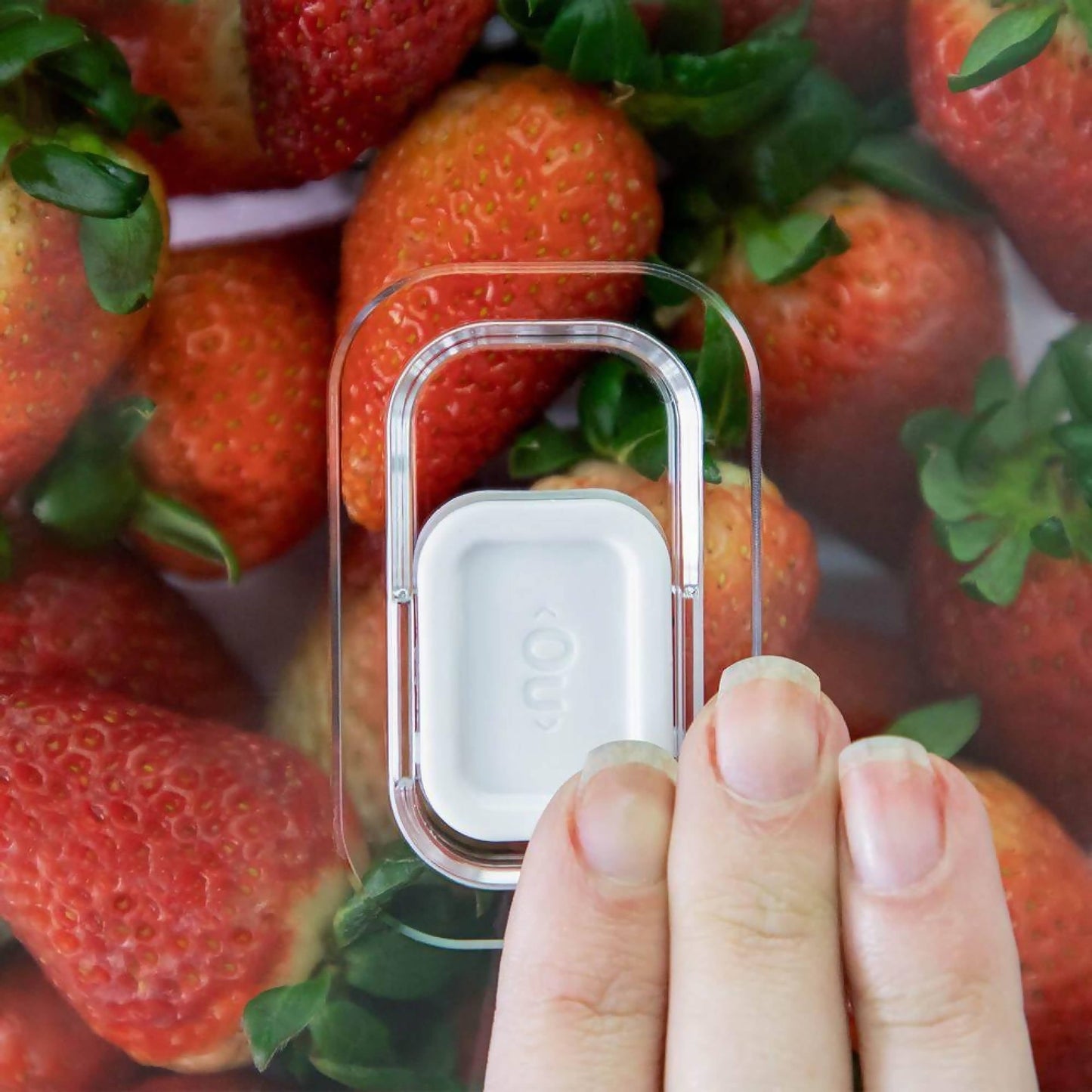 Organizador de Refrigerador Clear Fresh Con Tapa 30 x 15 x 7 cm2#Sin color