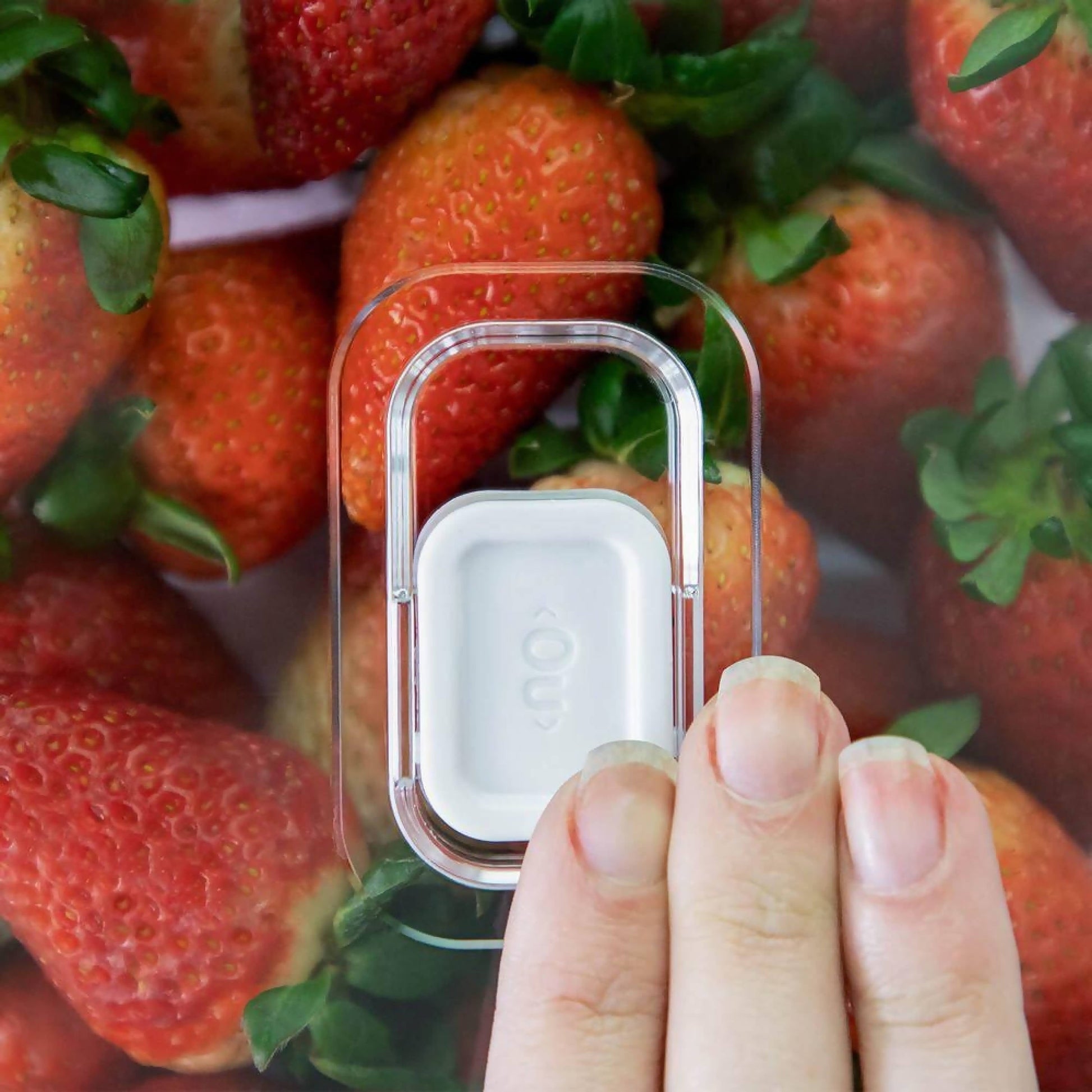 Organizador de Refrigerador Clear Fresh Con Tapa 30 x 15 x 7 cm2#Sin color