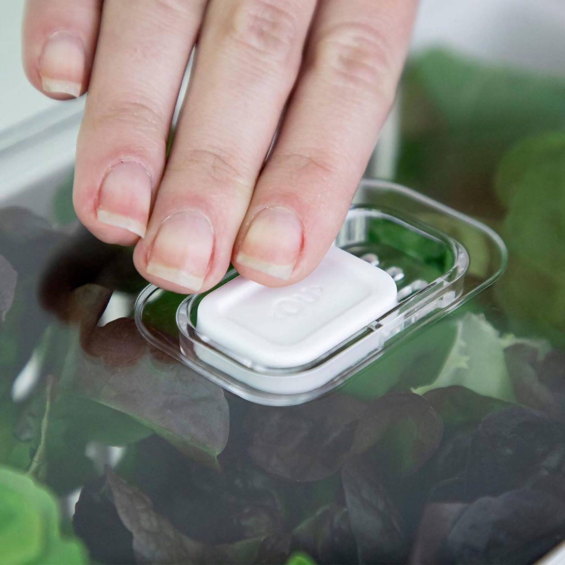 Organizador De Refrigerador Con Cesta Clear Fresh 30 x 15 x 13 Cm3#Sin color