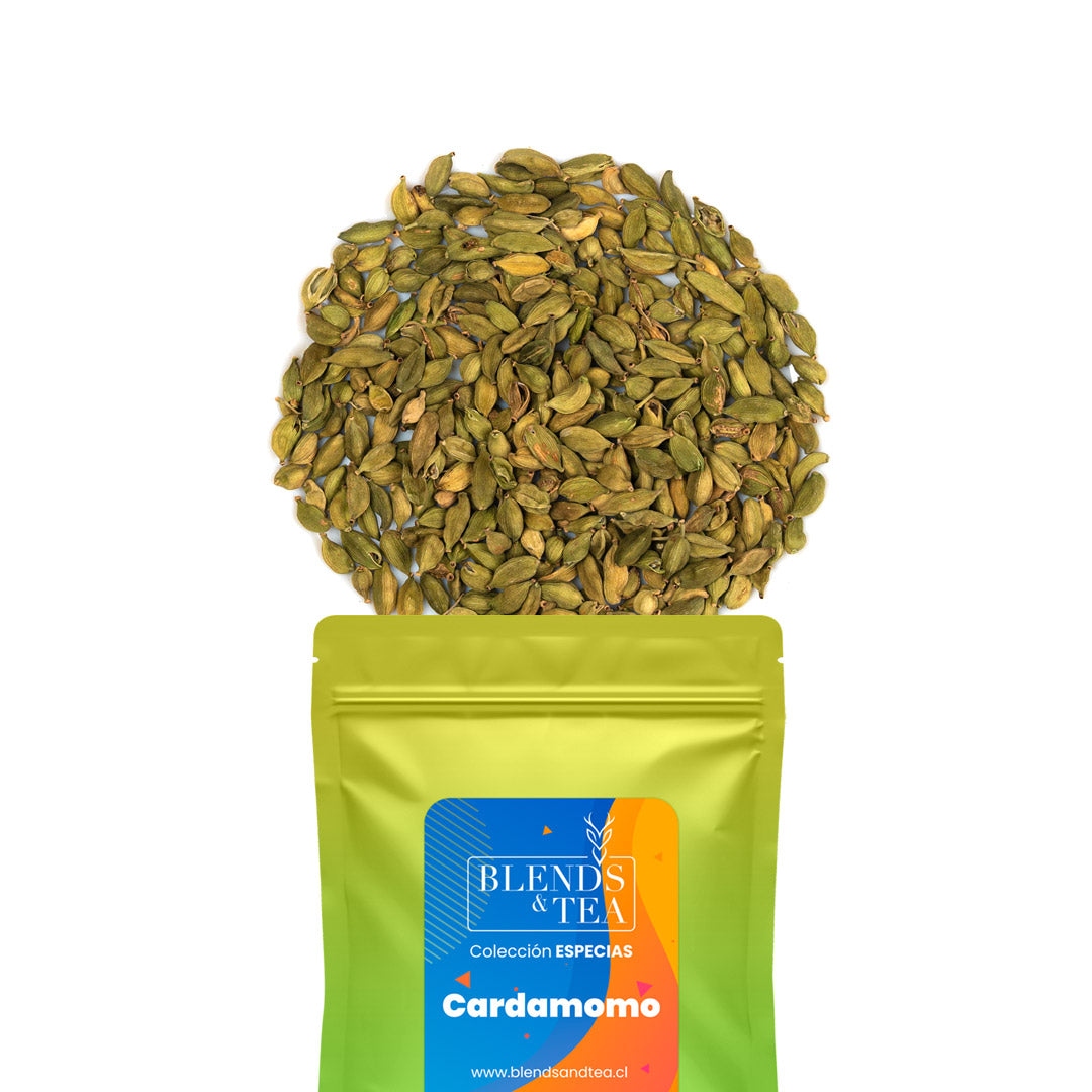 PACK Mini Recargas Especias4#Sin color