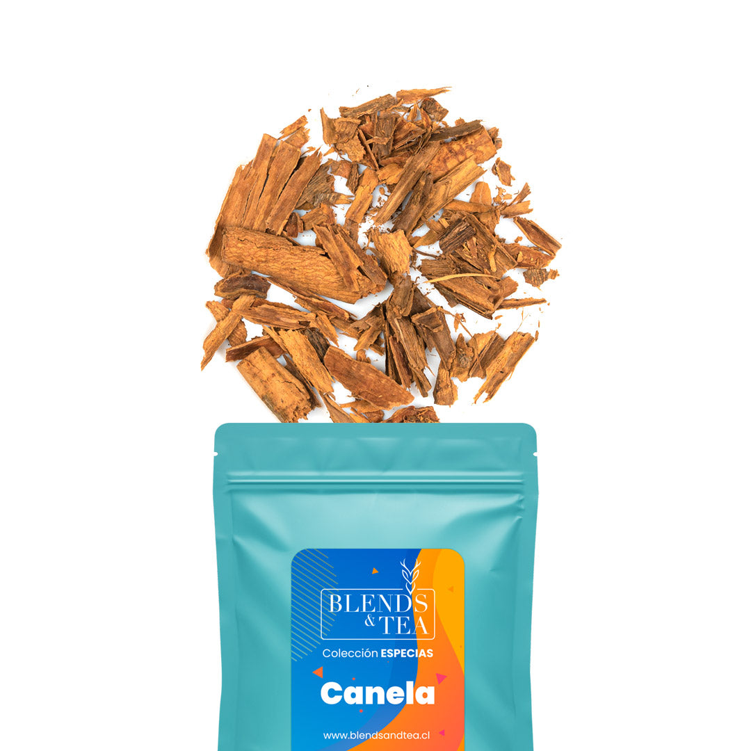 PACK Mini Recargas Especias5#Sin color