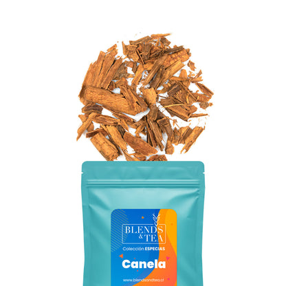 PACK Mini Recargas Especias5#Sin color