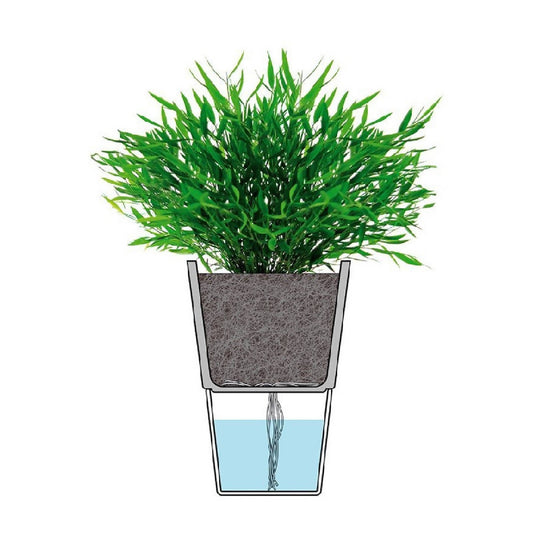 Macetero Auto Riego Para Hierbas 11 cm