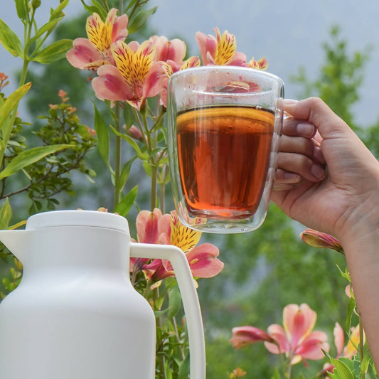 Taza de Vidrio Doble Pared 350 ml1#Sin Color