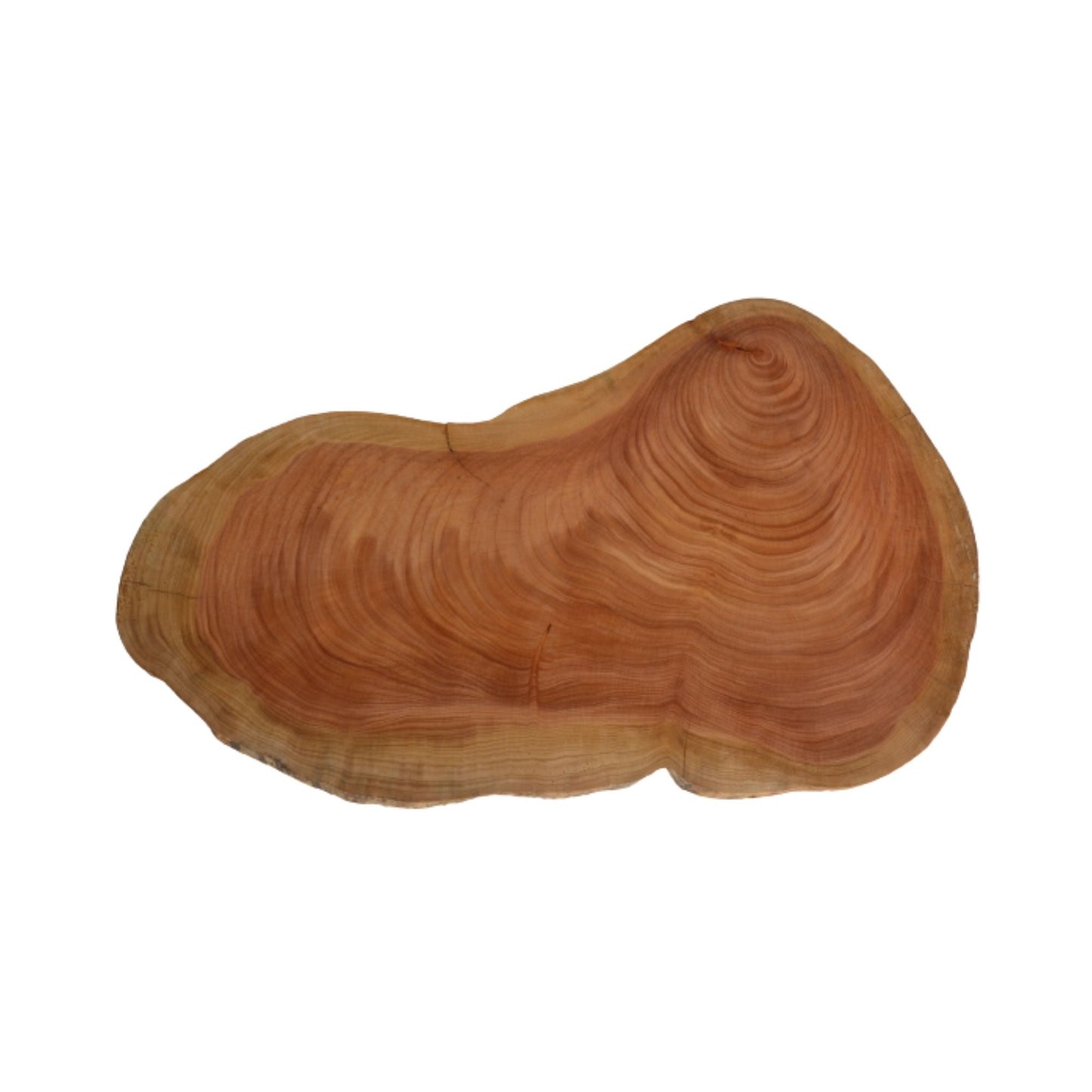 Tabla de Madera Ciprés Grande3#Café