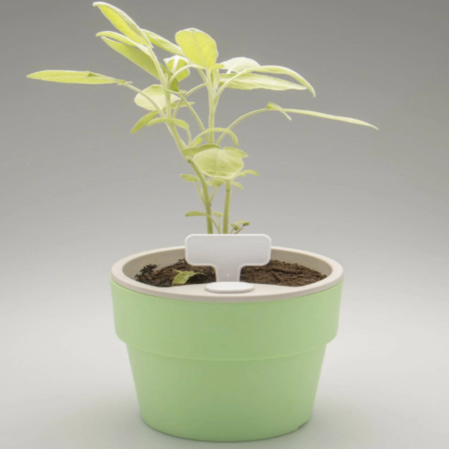 Pack 2 Maceteros Auto Riego Para Hierbas 1.6 Lts4#Verde