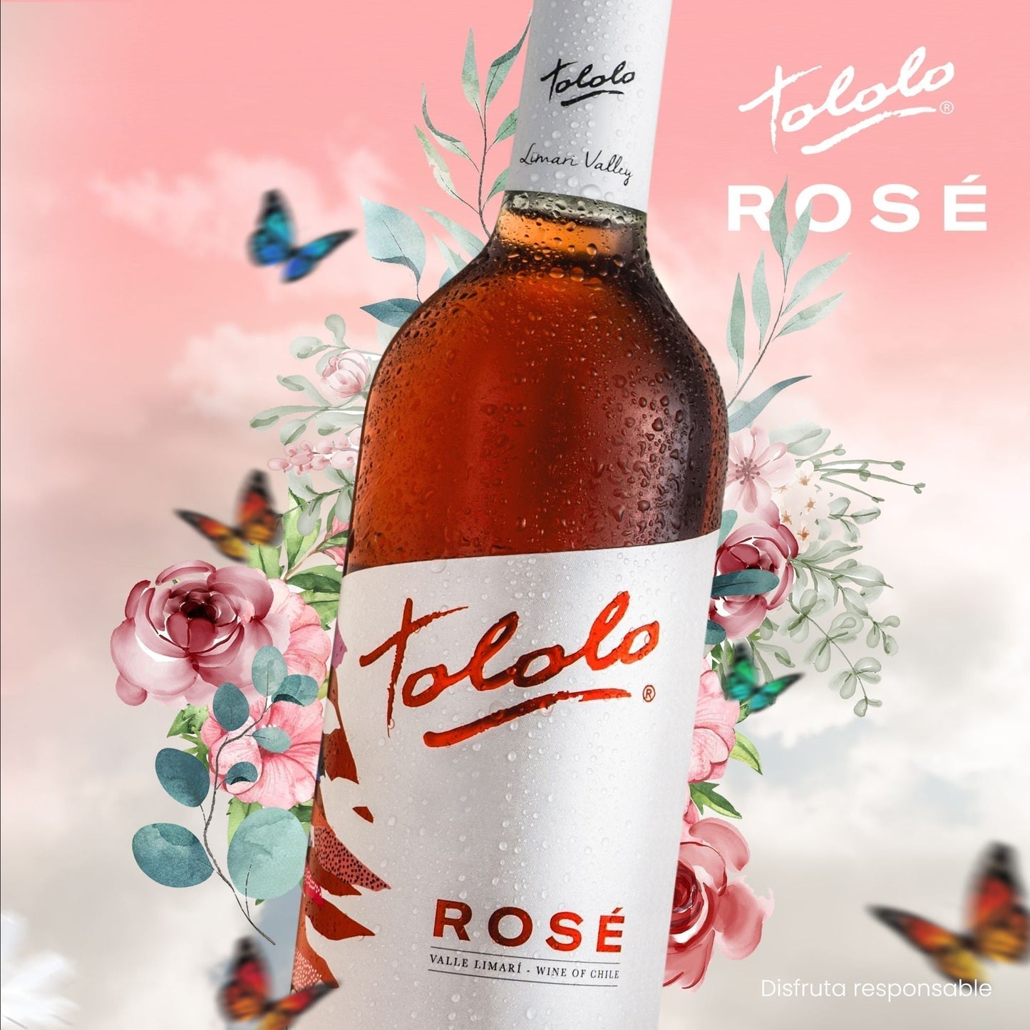 Vino Tololo Rose4#Rosado