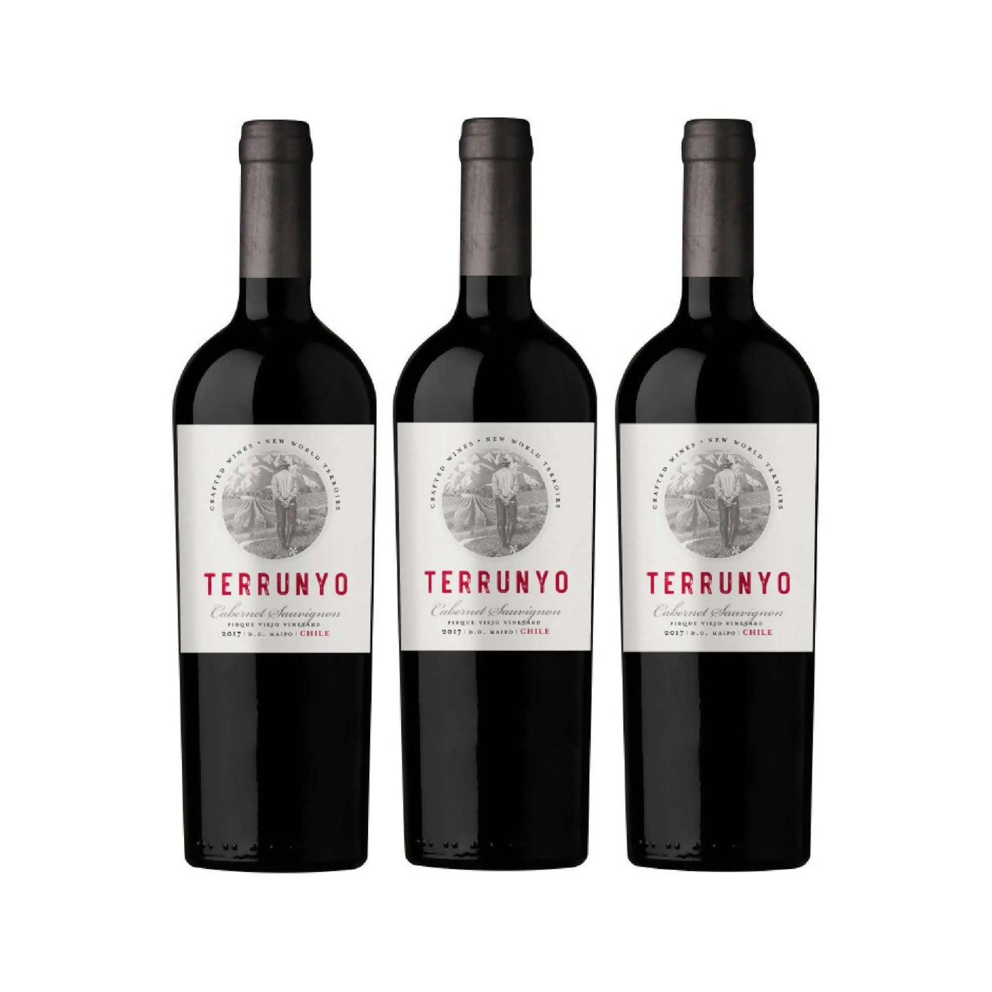 3 Vinos Concha Y Toro Terrunyo Cabernet Sauvignon2#Sin color